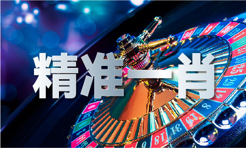 中国贵宾网资料V(图1)