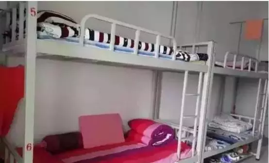 凯发科技：走近清华北大的摇篮——濮阳市一高(图6)