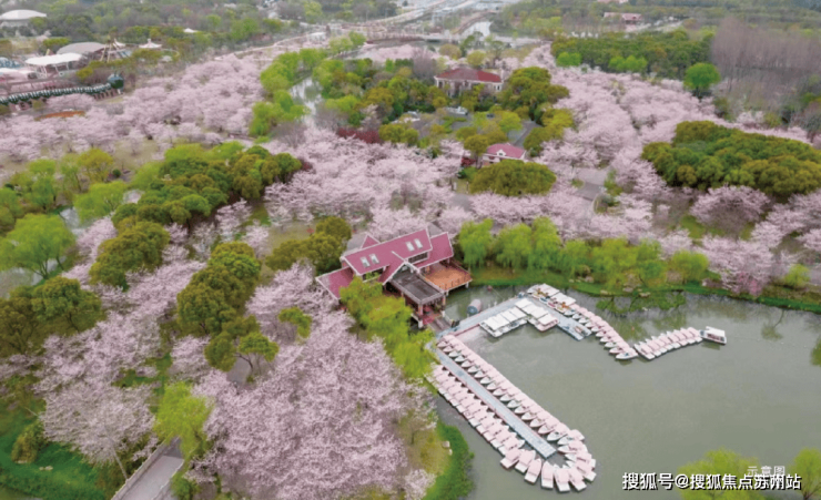 招商时代乐章售楼处首页网站-2025最新房价+户型图+小区环境+配套-电话(图34)