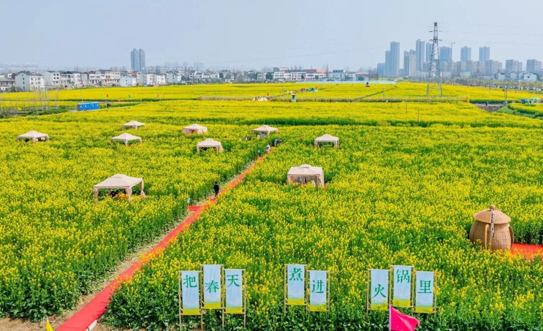 凯发科技：这些爆火的「春日经济」可不只是新“花”样丨南财号热话(图4)