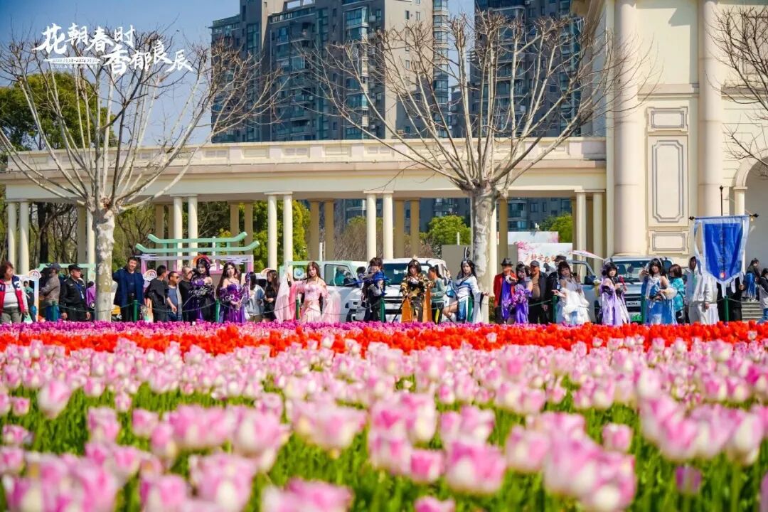 凯发科技：这些爆火的「春日经济」可不只是新“花”样丨南财号热话(图8)