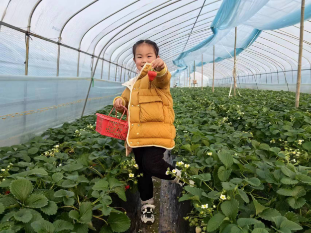 凯发科技：元旦不远游打卡家门口好去处(图3)