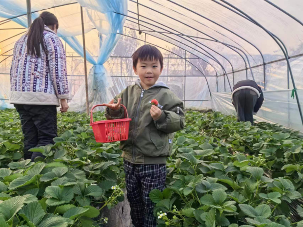 凯发科技：元旦不远游打卡家门口好去处(图2)