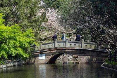万科中興傲舍售楼处万科中興傲舍电话+地址+户型详情营销中心预约热线(图14)