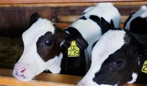 K8·凯发科技：厨具市场深度分析未来厨具行业发展趋势分析2023(图5)