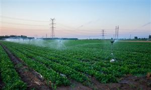 凯发国际首页：厨具市场发展现状及趋势分析2023(图6)